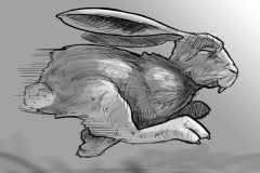rabbit